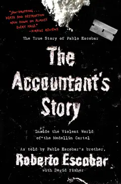 the accountant's story book cover image
