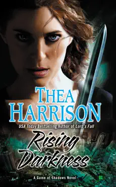rising darkness book cover image