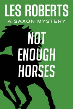 not enough horses book cover image