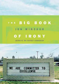 the big book of irony book cover image