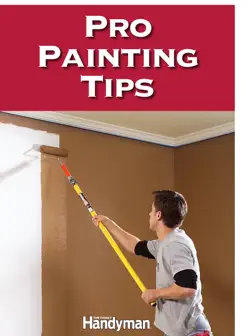 pro painting tips book cover image