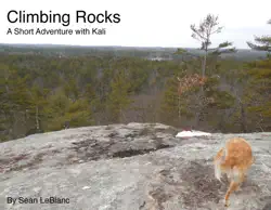 climbing rocks book cover image