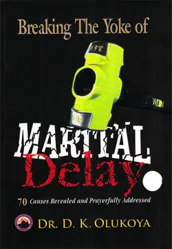 breaking the yoke of marital delay book cover image