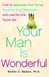 Your Man is Wonderful sinopsis y comentarios