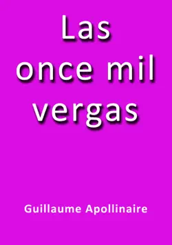 las once mil vergas book cover image