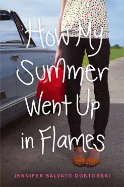 how my summer went up in flames book cover image