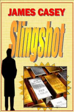 slingshot book cover image