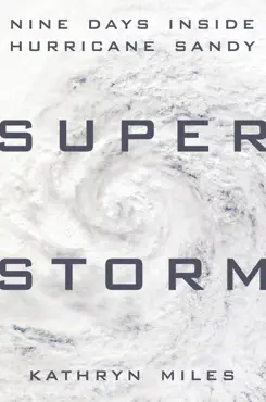 superstorm book cover image