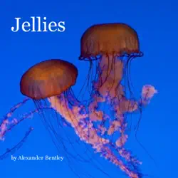 jellies book cover image