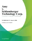 Amy v. Schlumberger Technology Corp. synopsis, comments
