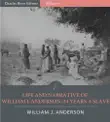 Life and Narrative of William J. Anderson, Twenty-Four Years a Slave synopsis, comments