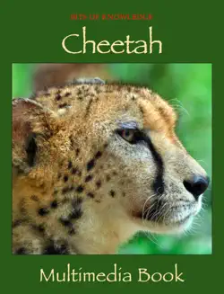 cheetah imagen de la portada del libro