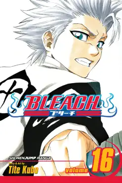 bleach, vol. 16 book cover image