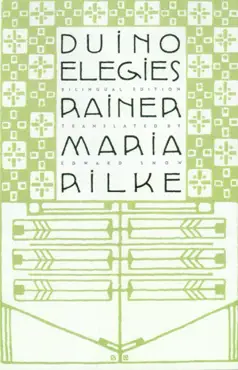 duino elegies book cover image