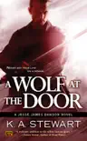 A Wolf at the Door synopsis, comments