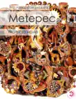 Metepec synopsis, comments