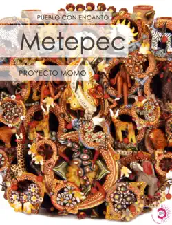 metepec book cover image