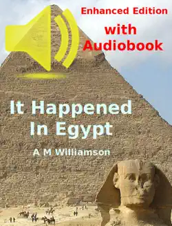 it happened in egypt book cover image