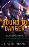 Bound to Danger synopsis, comments