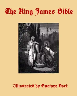 the king james bible book cover image