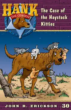 the case of the haystack kitties book cover image