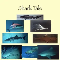 shark tale book cover image
