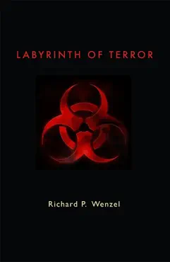 labyrinth of terror imagen de la portada del libro
