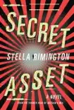 Secret Asset synopsis, comments