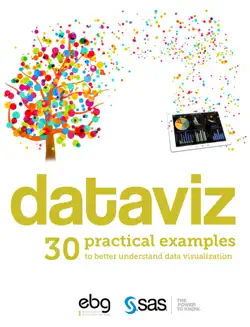 dataviz - 30 practical examples book cover image