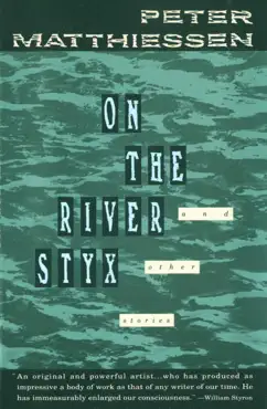 on the river styx book cover image
