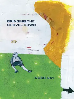bringing the shovel down book cover image