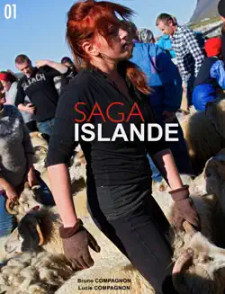 saga islande book cover image