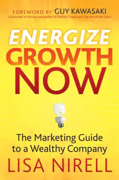 energize growth now book cover image