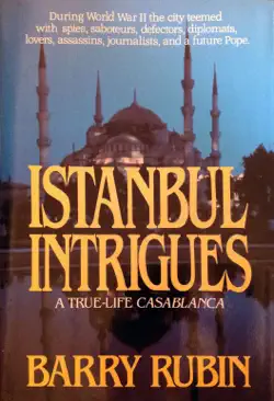 istanbul intrigues book cover image