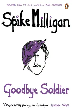 goodbye soldier book cover image