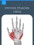 Intrinsic Muscles of the Hand synopsis, comments