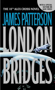 london bridges book cover image