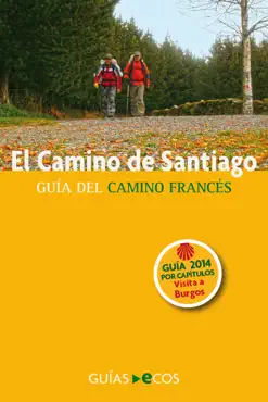 camino de santiago. visita a burgos book cover image