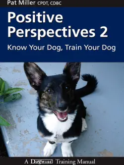 positive perspectives 2 book cover image