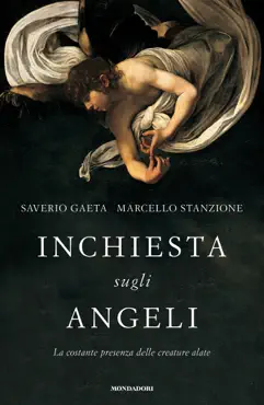 inchiesta sugli angeli book cover image