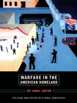warfare in the american homeland book cover image