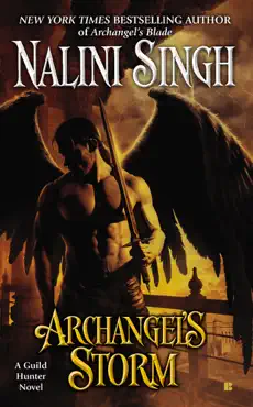 archangel's storm book cover image
