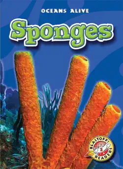 sponges book cover image