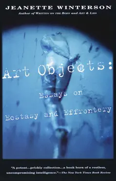 art objects book cover image
