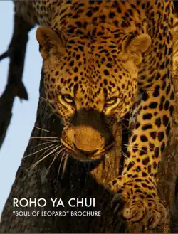travel africa roho ya chui book cover image