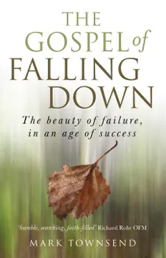 the gospel of falling down book cover image