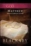 Matthew synopsis, comments