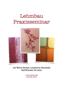 praxisseminar lehmbau book cover image