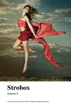 strobox volume 3 imagen de la portada del libro