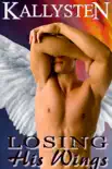 Losing His Wings synopsis, comments